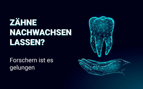 Zähne nachwachsen lassen? Forschern ist es gelungen